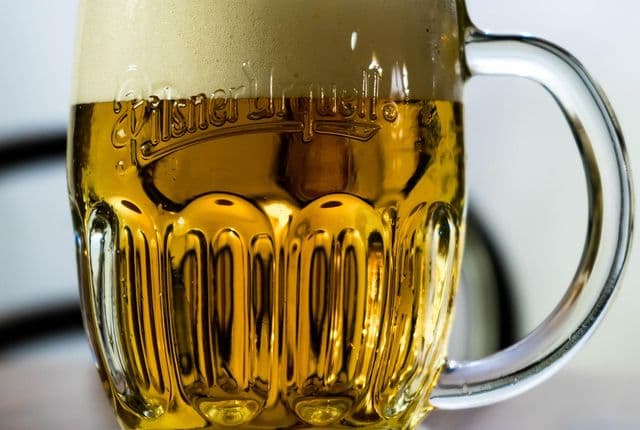 Pilsner Fest & the Pilsner Urquell Brewery Tour: Plzeň from Prague