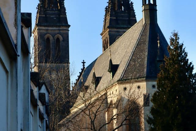 pexels auge 29519626