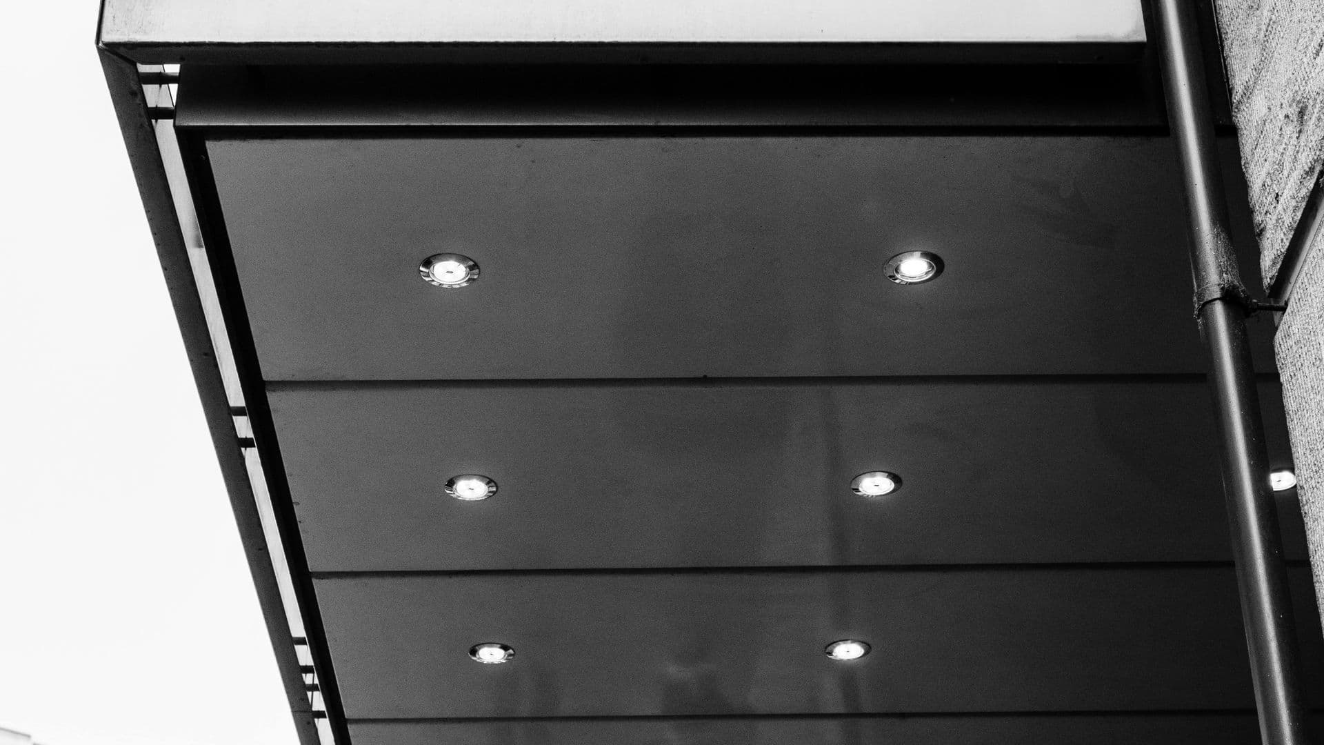 Pet-friendly отели и кафе в Праге