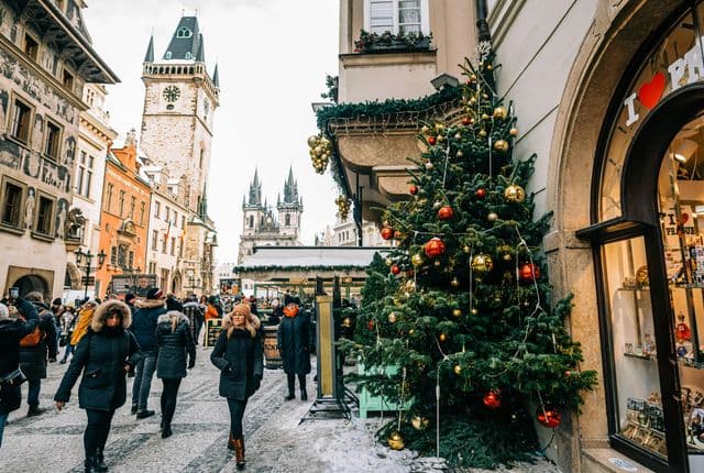 pexels helen1 19099388