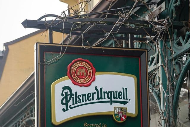 pexels magda ehlers pexels 15269349