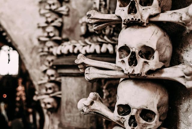 pexels rachel claire 4997839