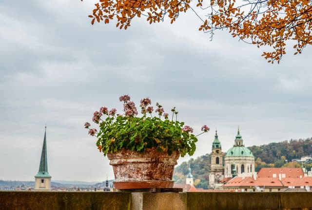 Queen Anne's Summer Palace — Renaissance Beauty at Prague Castle