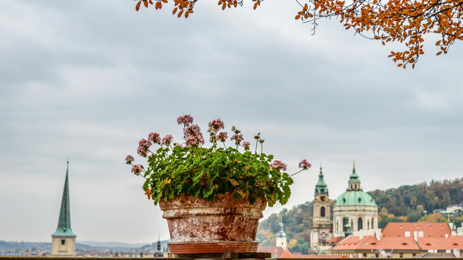 Prague in October — Golden Leaves and the Signal Festival