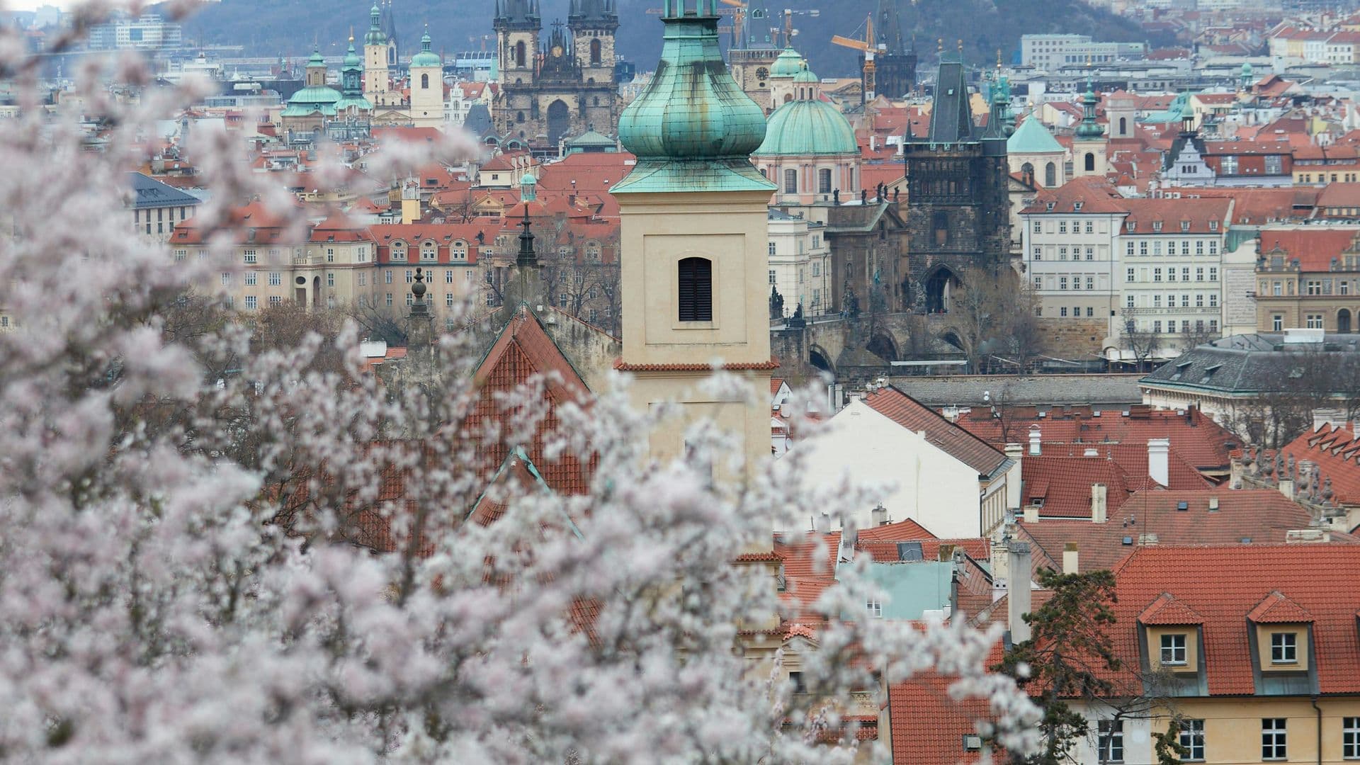 Prague in March — When Spring Starts Stirring