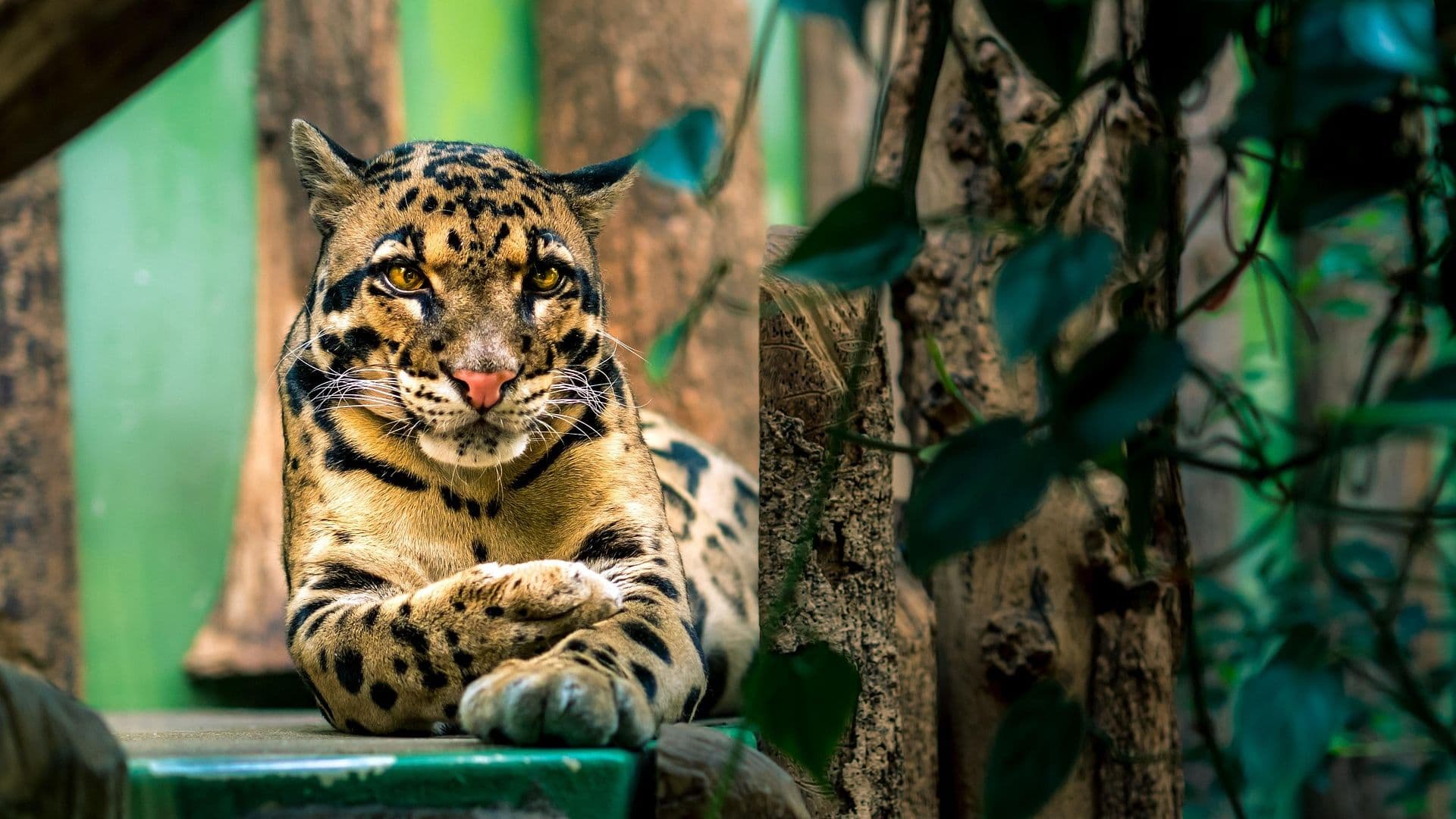 Prague Zoo — One of the Best in Europe and Locals Know It