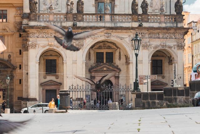 214801509 4451046988247226 1974596437476897609 n