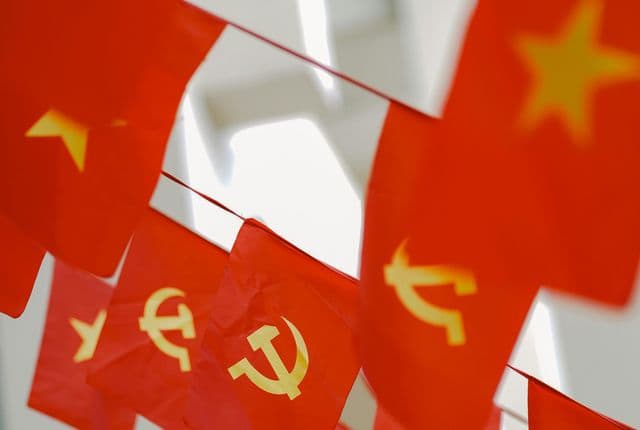 pexels photocatchers2 33738824