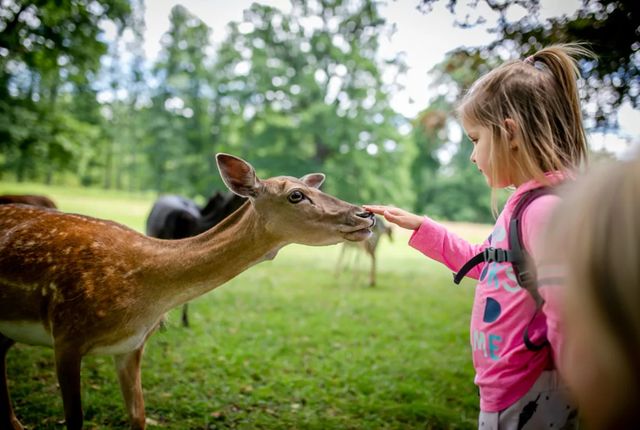 vodnyj-zamok-blatna-ekskursiya-iz-pragi