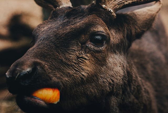 vodnyj-zamok-blatna-ekskursiya-iz-pragi-4