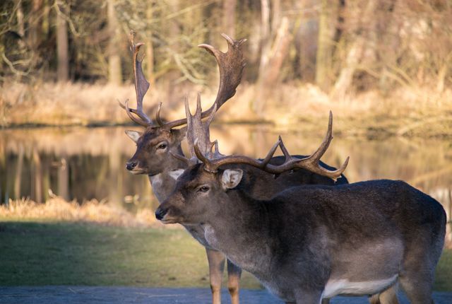 vodnyj-zamok-blatna-ekskursiya-iz-pragi-2